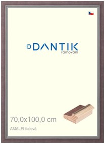 DANTIK rám na obraz 70x100 | AMALFI fialová (Plexi Čiré)