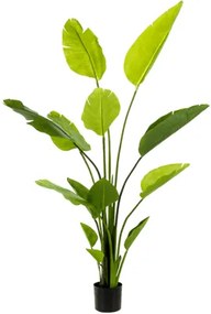 Umelá rastlina Strelitzia Nicolai 150cm
