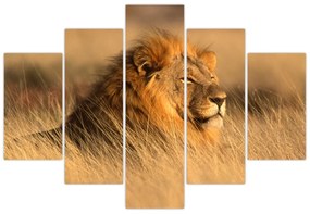 Obraz - Národný park Etosha (150x105 cm)