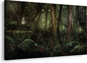 Obraz - Tajomný les (90x60 cm)
