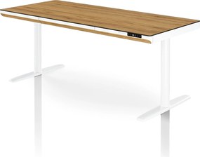 Elektrický písací stôl sit-stand so zásuvkou a bezdrôtovou nabíjačkou Qi biely/zlatý dub, 1600 mm: ELLIS