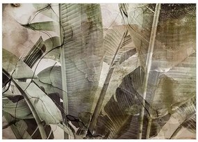 Samolepiaca fototapeta - Banana Jungle Veľkosť: 98x70, Verzia: Samolepiaca
