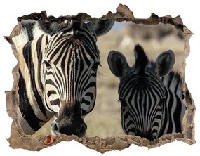 Díra 3D fototapeta nálepka Dve zebry nd-k-70684470