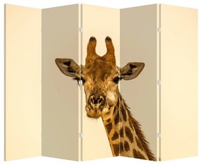 Paraván - Žirafa (210x170 cm)