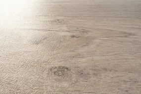 Beaulieu International Group, PVC podlaha - lino Domo 2156, na mieru, šíře 2m,4m, béžová, bez podkladu, kuchyňa