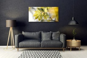 Obraz na skle Listy rastlina 100x50 cm