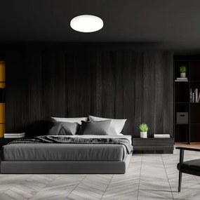 Brilo - LED RGBW stmievateľné stropné svietidlo LED/20W/230V 2200-6500K pr. 27 cm