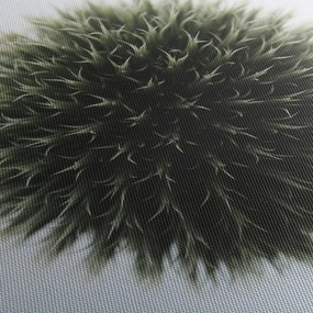 Obraz kvetinové gule (90x60 cm)