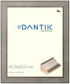 DANTIK rám na obraz 40x50 | Museo stříbrná (Plexi Čiré)