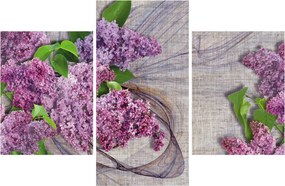 Obraz - Orgován (90x60 cm)