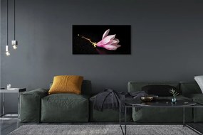 Obraz canvas kvetina voda 120x60 cm