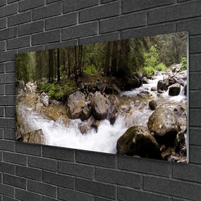 Skleneny obraz Les rieka vodopády 100x50 cm