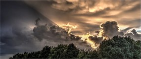 Obraz mračien a lesa (120x50 cm)