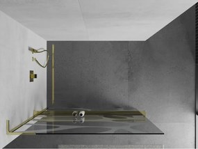 Mexen Kioto+ L, sprchová zástena Walk-In s poličkou a vešiakom 100 x 200 cm, 8mm číre sklo biely vzor, zlatý lesklý profil,800-100-123-50-97