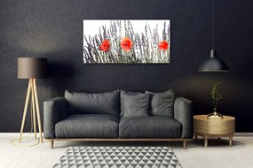 Skleneny obraz Kvety maky pole trávy 120x60 cm