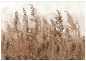 Samolepiaca fototapeta - Tall Grasses - Brown Veľkosť: 294x210, Verzia: Samolepiaca