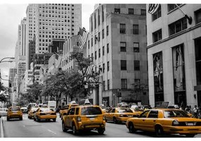 Ceduľa New York Taxi