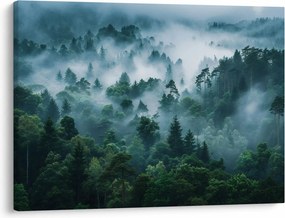 Obraz - Les v hmle (70x50 cm)