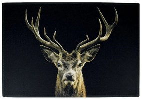 Čierna podlahová rohožka jeleň  Black Deer - 75 * 50 * 1cm