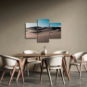 Obraz - Z púšte (90x60 cm)