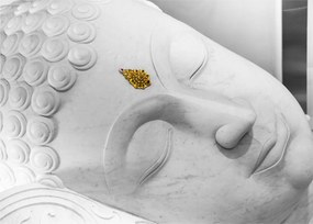 Obraz - Biely Budha (70x50 cm)