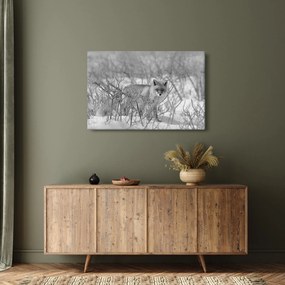 Obraz - Lišiak, čiernobiela (90x60 cm)