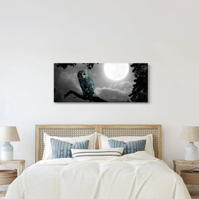 Obraz - Nočná sova, modrá (120x50 cm)