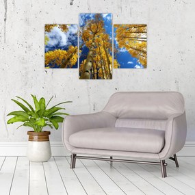 Obraz - Aspen (90x60 cm)