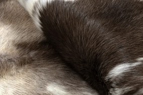 Koberec RENIFER POK003 PREMIUM hnedý / biely