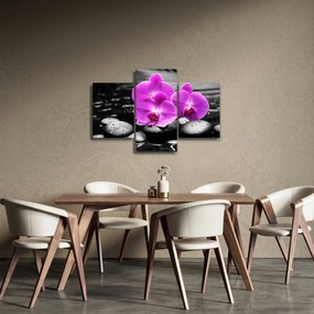 Obraz - Fialové orchidey (90x60 cm)