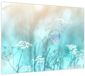 Obraz - Motýlik v modrom (70x50 cm)