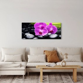 Obraz - Orchidey (120x50 cm)