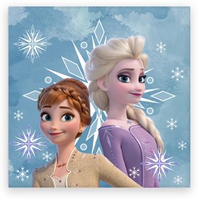 DETSKÝ FROTÉ UTERÁK FROZEN 30X30 CM VZOROVANÝ