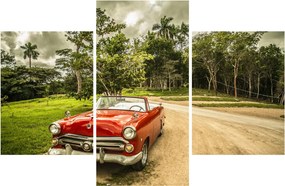 Obraz - auto veterán v prírode (90x60 cm)