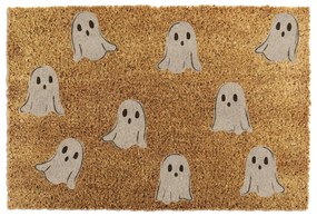 Rohožka z kokosového vlákna 40x60 cm Ghost – Artsy Doormats