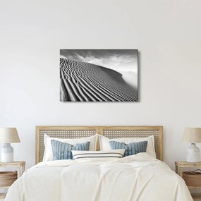 Obraz - Piesočná duna (90x60 cm)