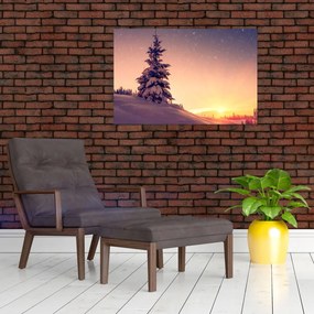 Obraz zasneženého stromu na lúke (90x60 cm)