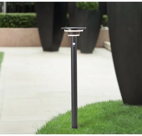 Brilliant - LED Solárna lampa so senzorom GARVINA LED/3W/3,7V 85 cm IP44 čierna