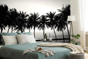 Samolepiaca tapeta palmy pri západe slnka v čiernobielom prevedení