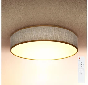 Brilagi - LED Stmievateľné stropné svietidlo CARMEN LED/48W/230V 3000-6500K + DO BG0901