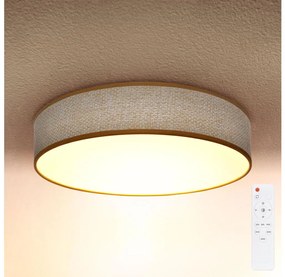 Brilagi - LED Stmievateľné stropné svietidlo CARMEN LED/48W/230V 3000-6500K + DO