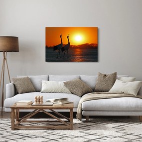 Obraz vtákov pri západe slnka (90x60 cm)