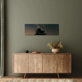 Obraz nočnej oblohy so stromami (s hodinami) (90x30 cm)