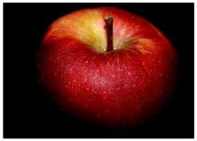 Sklenený obraz jablká na čiernom pozadí (70x50 cm)