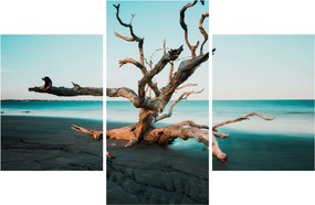 Obraz - Vyplavenie na pláži (90x60 cm)