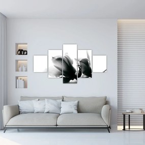 Obraz čiernobielych kvetov