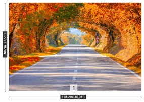Fototapeta Vliesová Cesty na jeseň 250x104 cm
