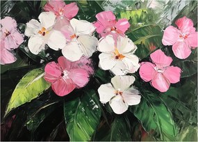 Obraz - Ružové a biele kvety (70x50 cm)