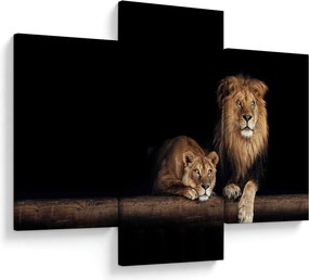 Obraz - Lev a levice (90x60 cm)