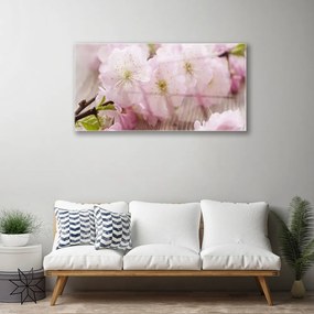 Skleneny obraz Vetvy kvety plátky príroda 120x60 cm